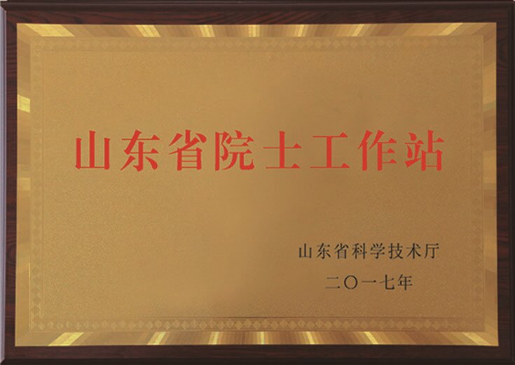榮譽證書