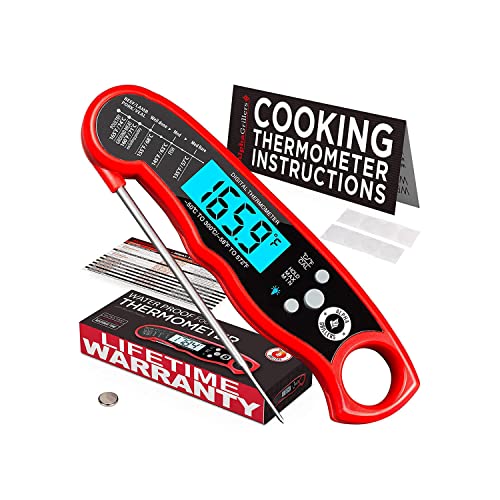 Best Digital Meat Thermometer for Grilling